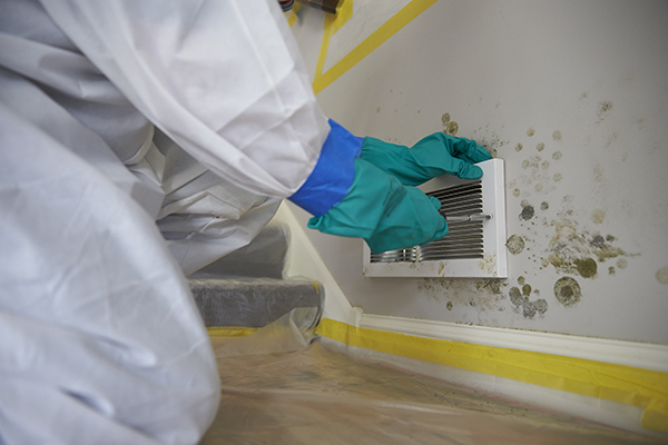 CE-mould-remediation